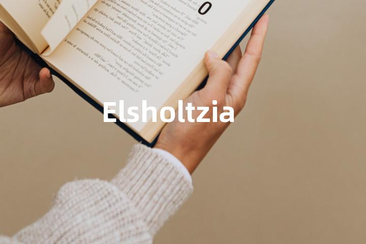 Elsholtzia