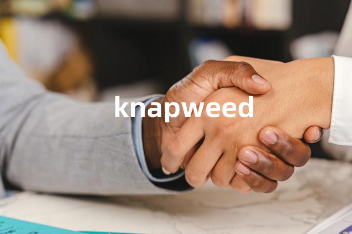 knapweed