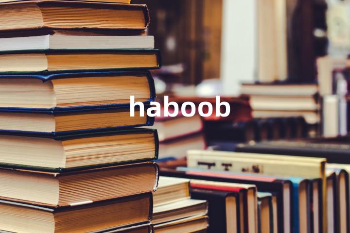 haboob
