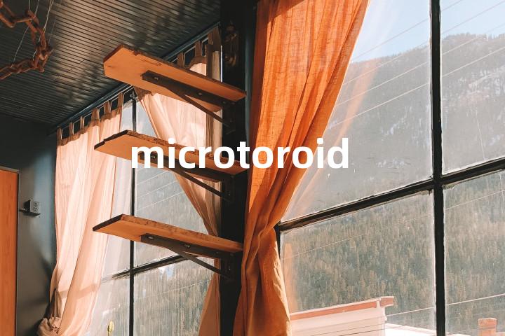 microtoroid