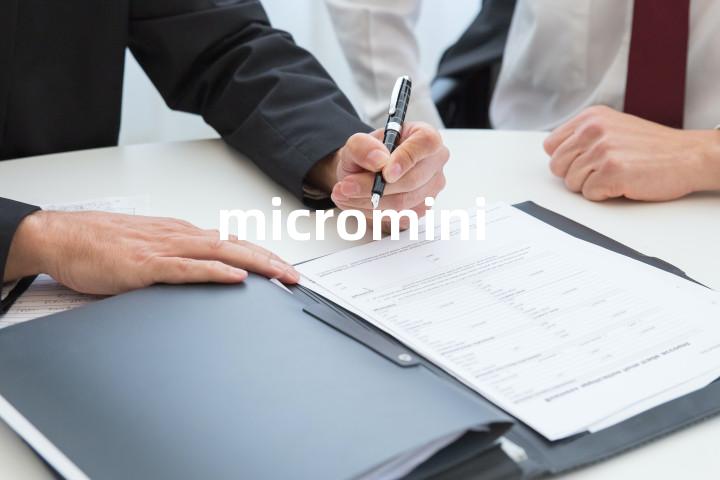 micromini