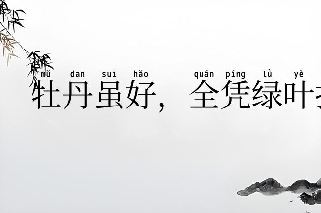 牡丹虽好，全凭绿叶扶持