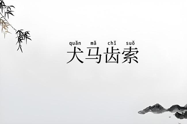 犬马齿索