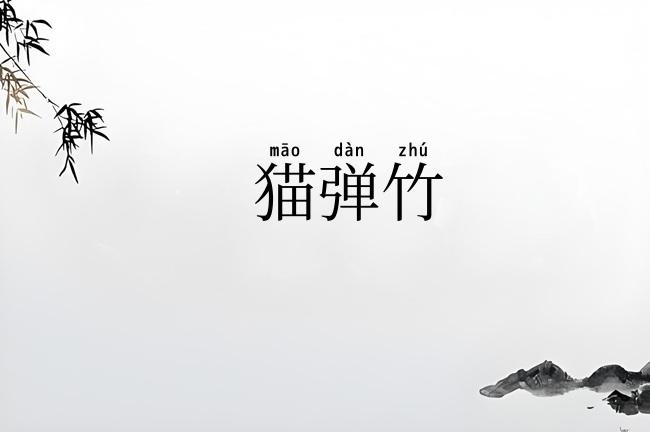 猫弹竹