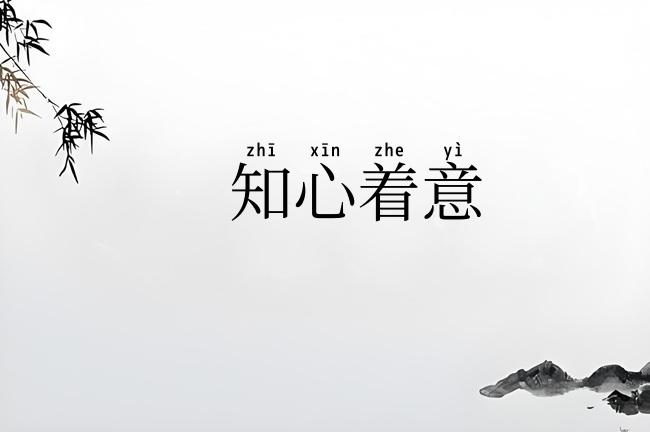 知心着意