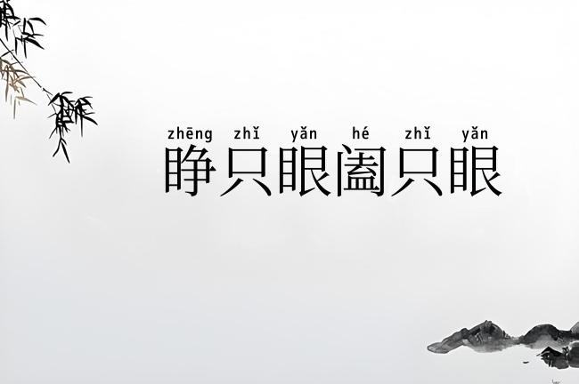 睁只眼阖只眼