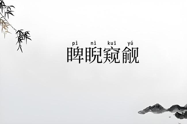 睥睨窥觎