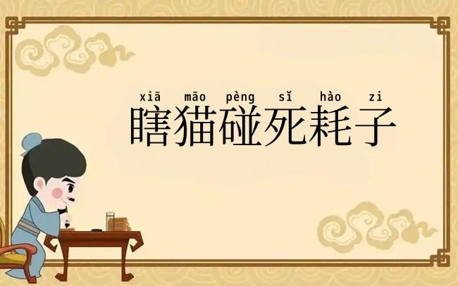 瞎猫碰死耗子