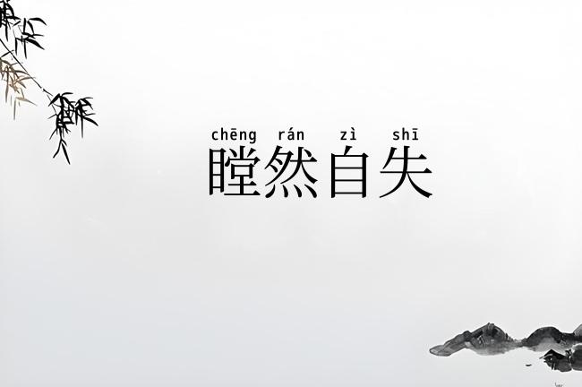 瞠然自失