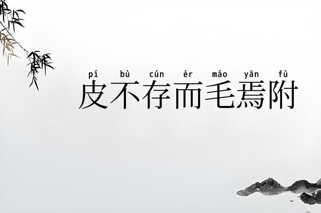皮不存而毛焉附
