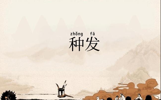 种发