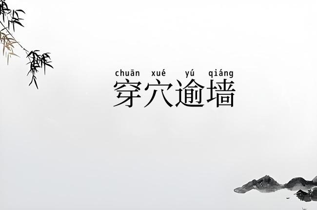 穿穴逾墙
