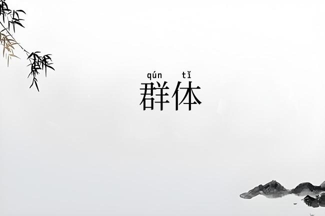 群体