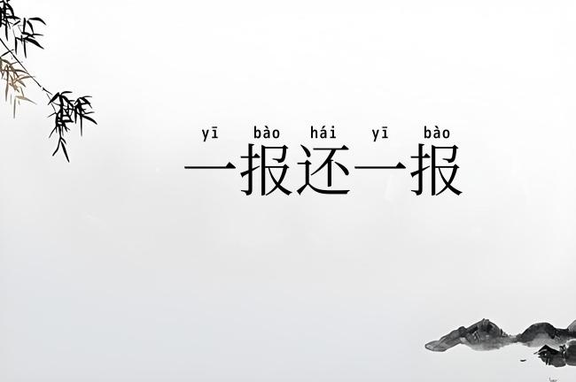 一报还一报