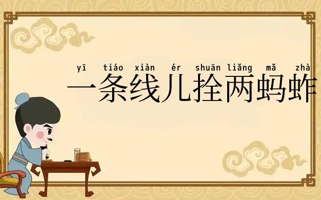 一条线儿拴两蚂蚱
