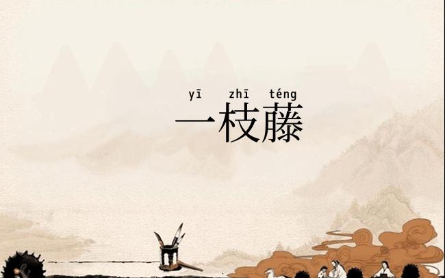 一枝藤