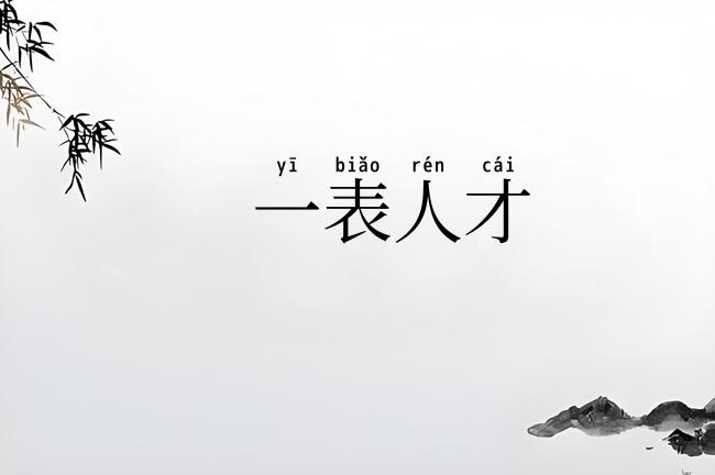 一表人才