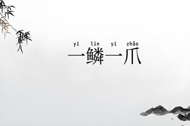 一鳞一爪