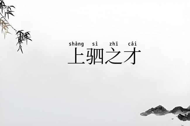 上驷之才