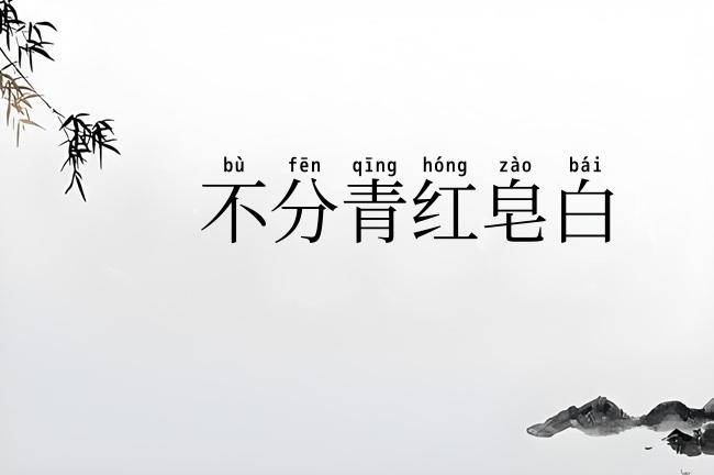 不分青红皂白