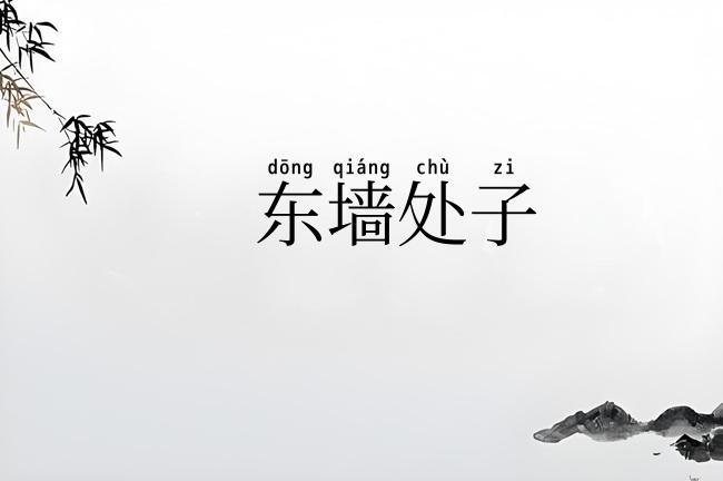 东墙处子