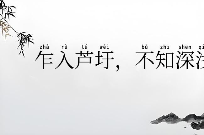 乍入芦圩,不知深浅