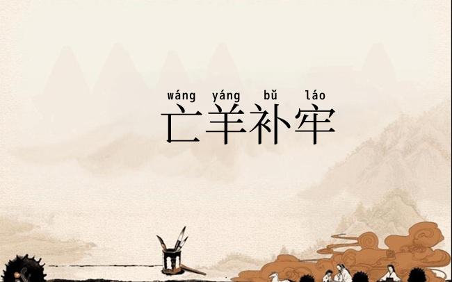 亡羊补牢