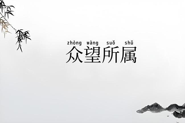 众望所属
