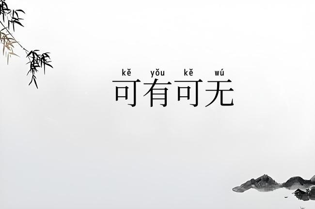 可有可无