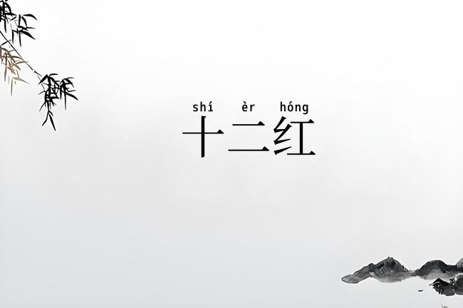 十二红
