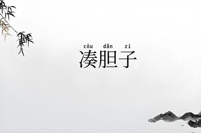 凑胆子