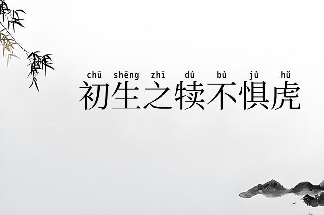 初生之犊不惧虎