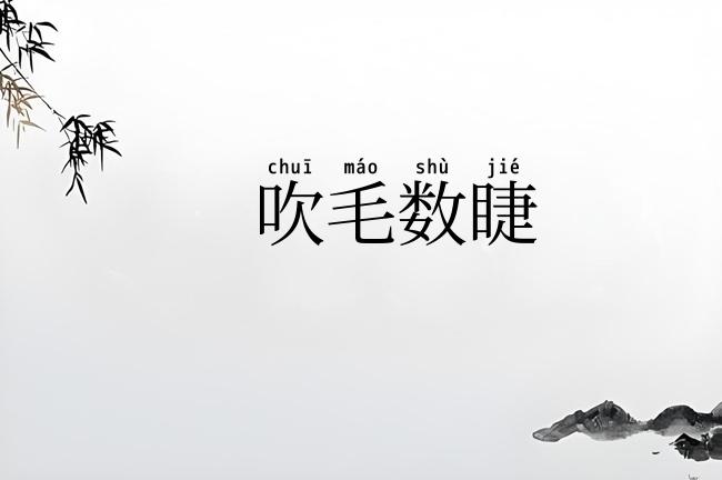 吹毛数睫