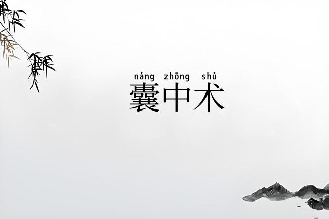囊中术