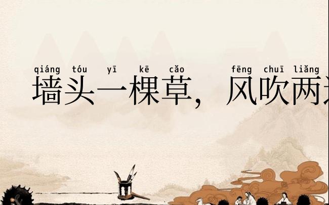 墙头一棵草，风吹两边倒