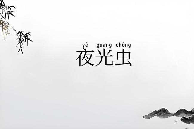 夜光虫