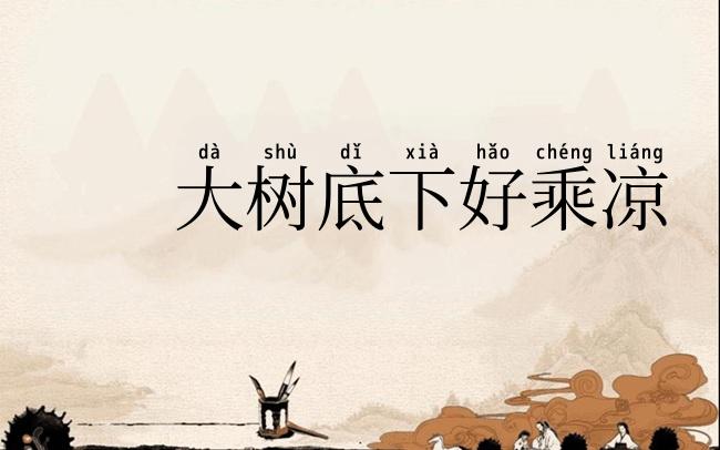 大树底下好乘凉