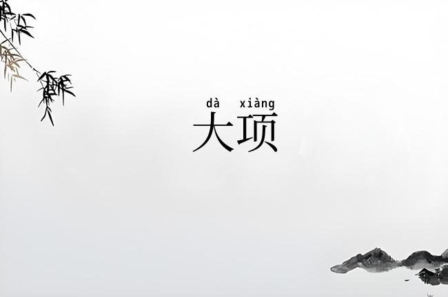 大项
