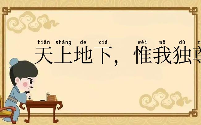 天上地下,惟我独尊