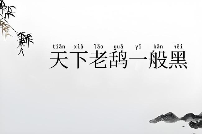 天下老鸹一般黑