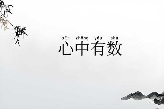 心中有数