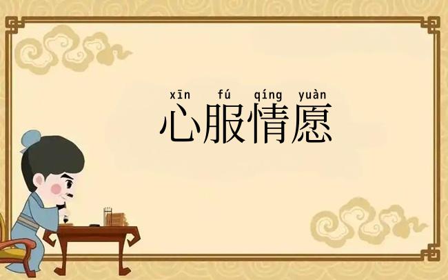 心服情愿