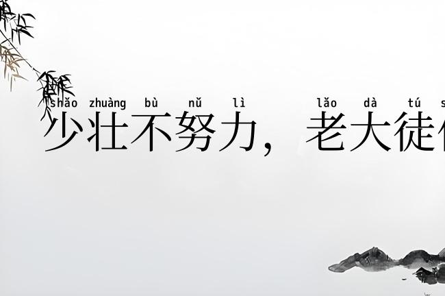 少壮不努力,老大徒伤悲