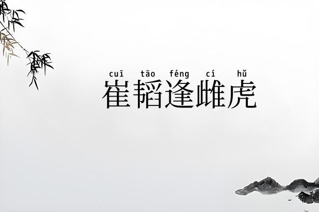 崔韬逢雌虎