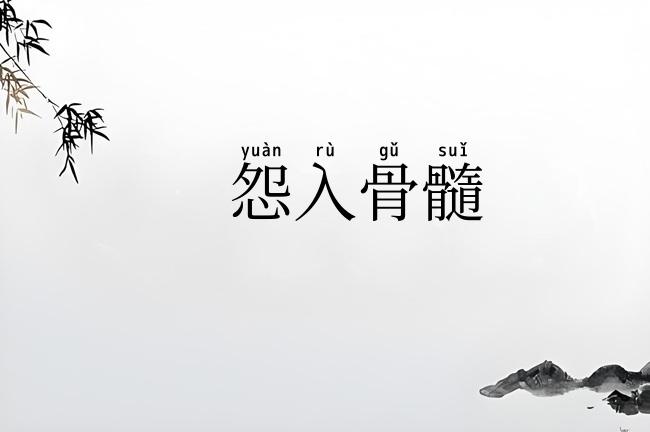 怨入骨髓
