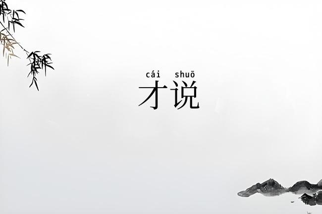 才说