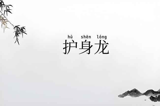 护身龙