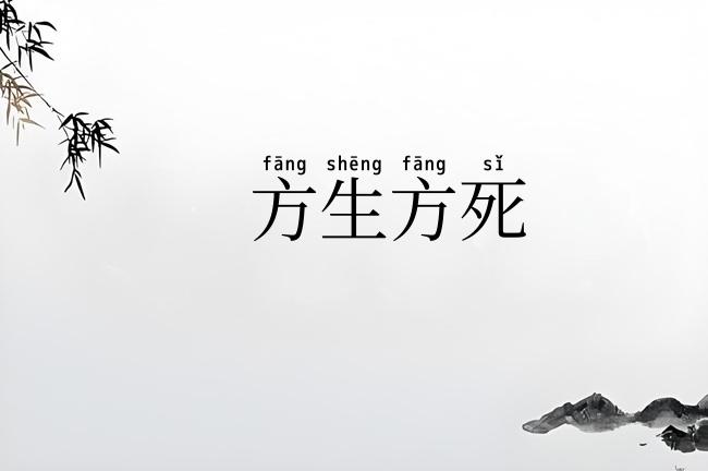 方生方死