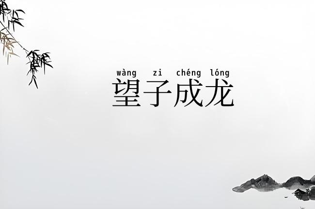 望子成龙