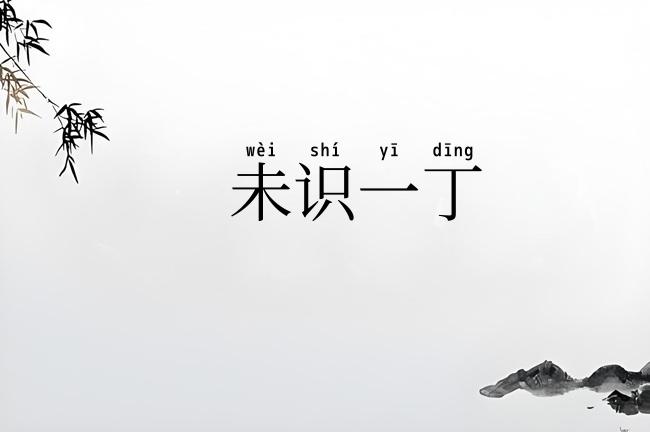 未识一丁